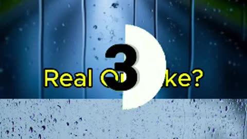 Real or Fake? Real or AI