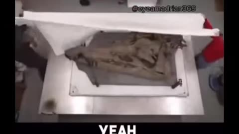 Dragon tales are known in many cultures, from the Americas to Europe and from India to China