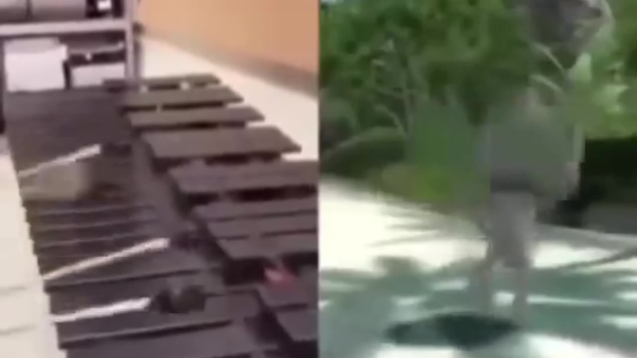 Epic Viral Clips That’ll Leave You Speechless! Compilation