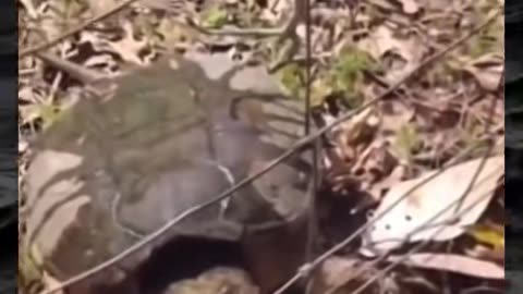 😱👻 The Most Unsettling Paranormal Video You'll Ever Watch! | TheHauntingHour