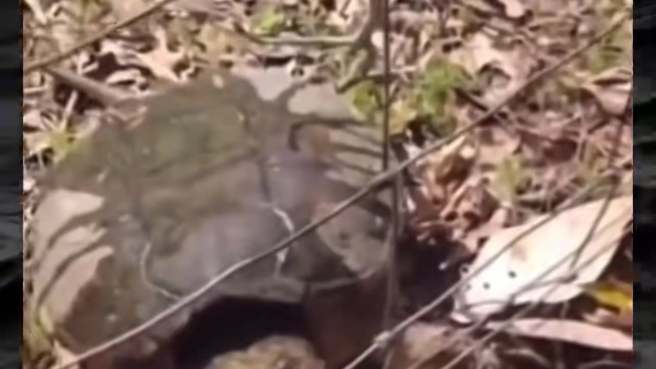 😱👻 The Most Unsettling Paranormal Video You'll Ever Watch! | TheHauntingHour