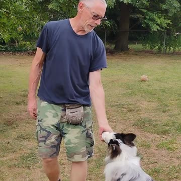 Structured Play Games Backing Up Exercise short 4