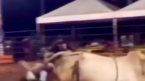 🤯🐮 I SAYED: The Ultimate Cow Rider Alert! | FunFM