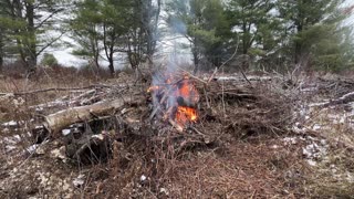 Burning More Branches to Clear the Field