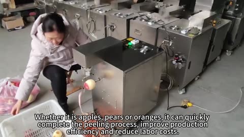 The fruit peeling machine