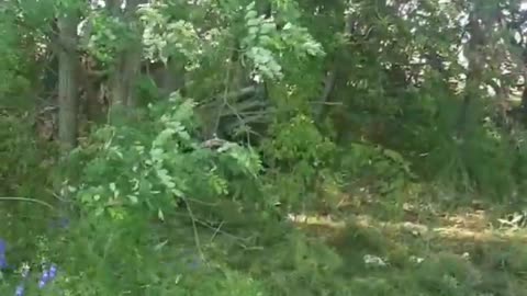 War in ukraine
