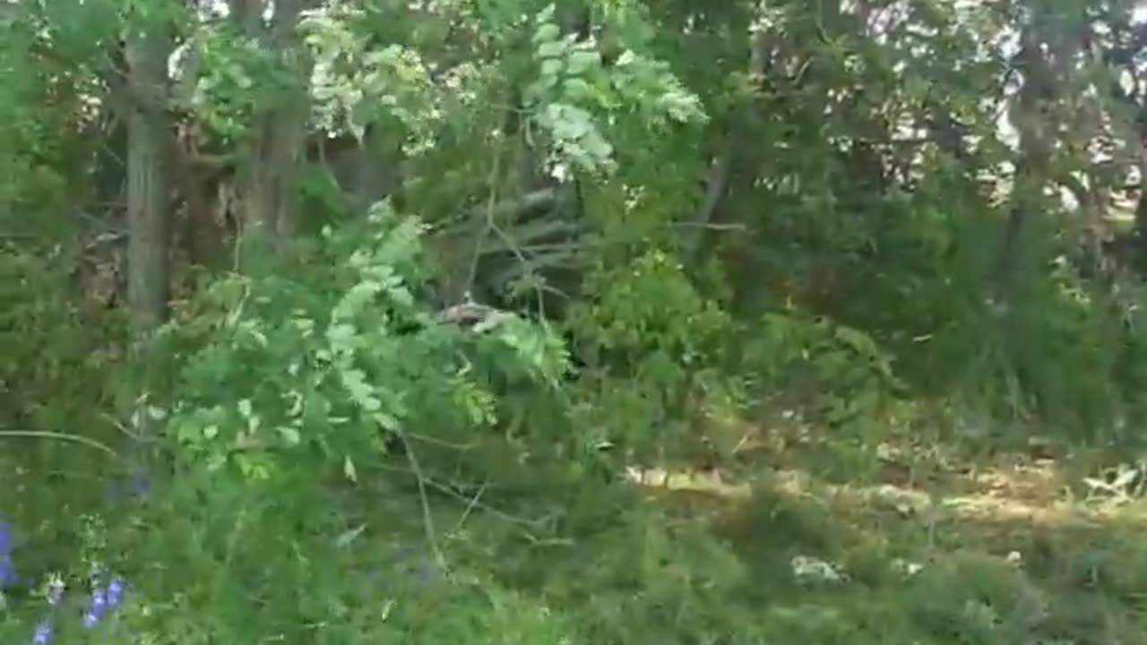 War in ukraine