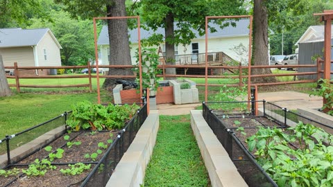 Storm damage to our garden (2025)