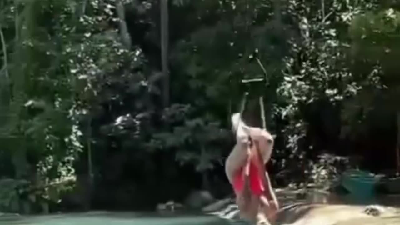 Sexyjump11