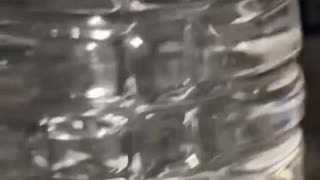 WHAT'S IN THIS WATER?