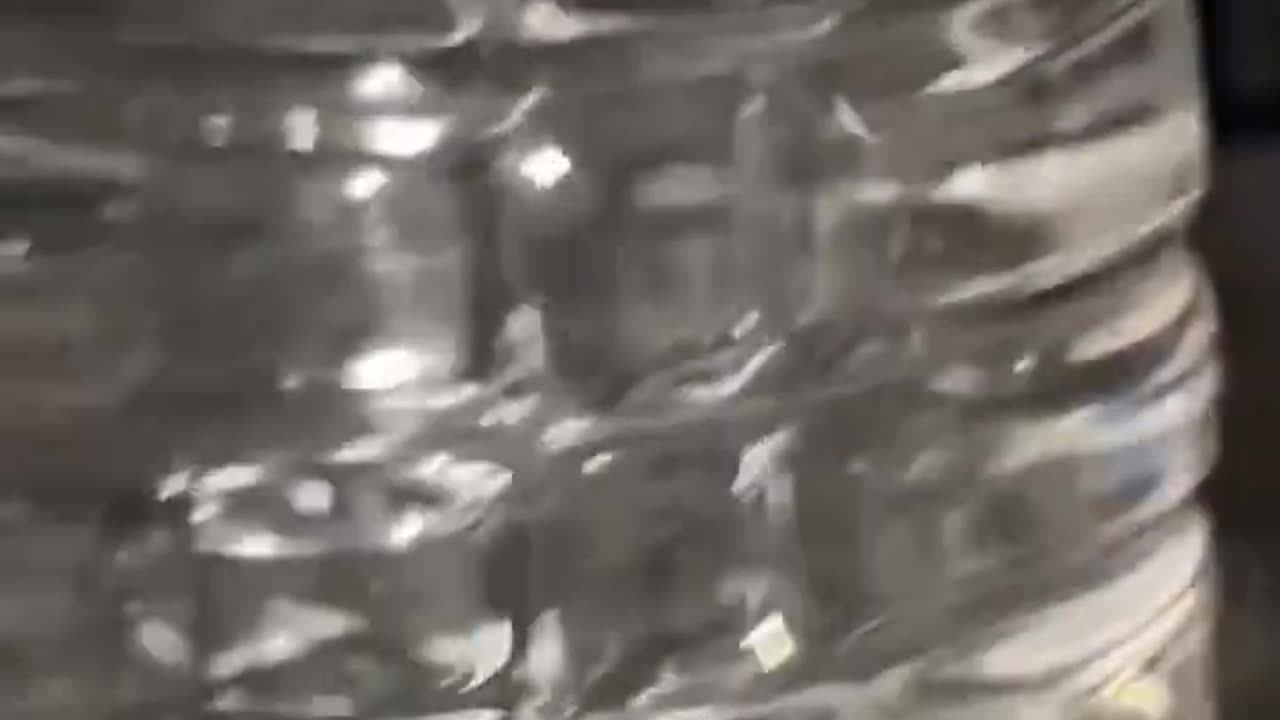 WHAT'S IN THIS WATER?