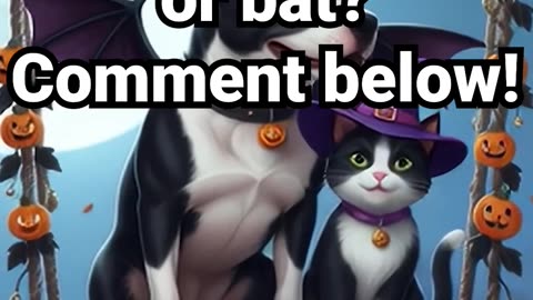 Which costume wins — witch or bat? Comment below! #anxietyrelief #lofi #calmingmusic #halloween
