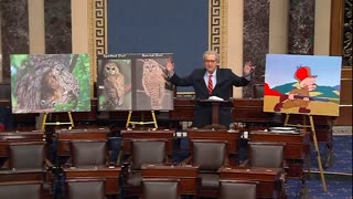 John Kennedy Rages At Interior Department For Imposing DEI For Owls