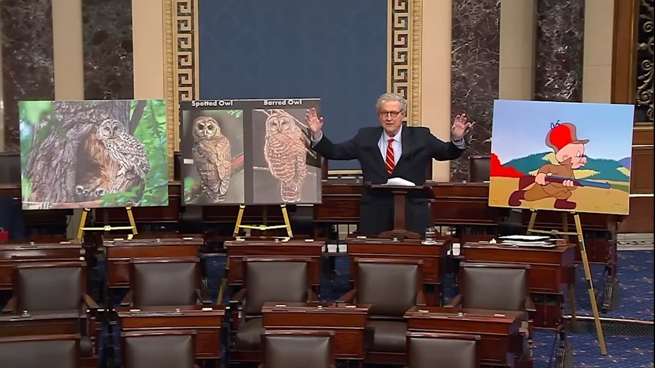 John Kennedy Rages At Interior Department For Imposing DEI For Owls