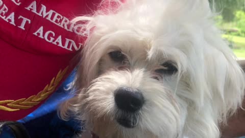 Patriot Loulou news 🗞️ Sunday Pray for our POLICE needed against woke democrat party 🇺🇸