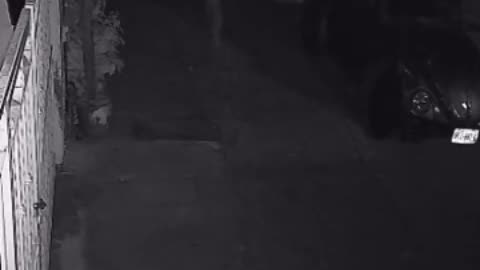 😱👻 You Won't Believe What They Caught on Camera! Ouija Board, Jinn, Aliens, Poltergeist | TheHauntin