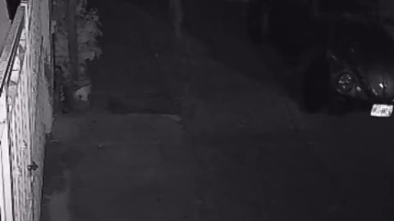 😱👻 You Won't Believe What They Caught on Camera! Ouija Board, Jinn, Aliens, Poltergeist | TheHauntin