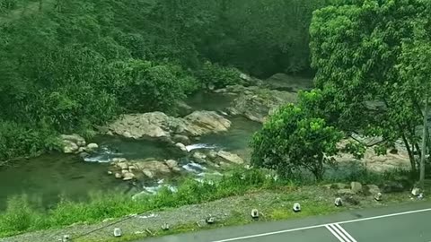Sri Lankan nature
