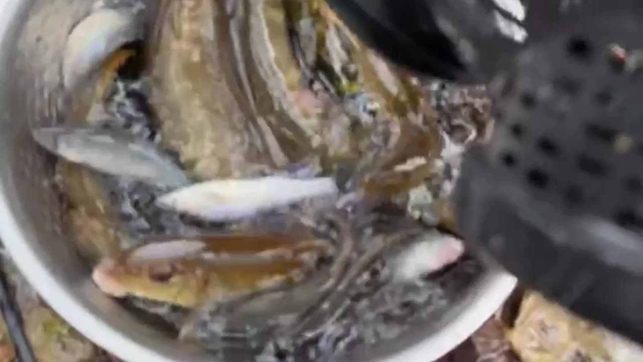 hombre pescando encontro algo oculto