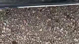 😂😂 This Guy's Excuse is CLASSIC! 🤣 | FunFM