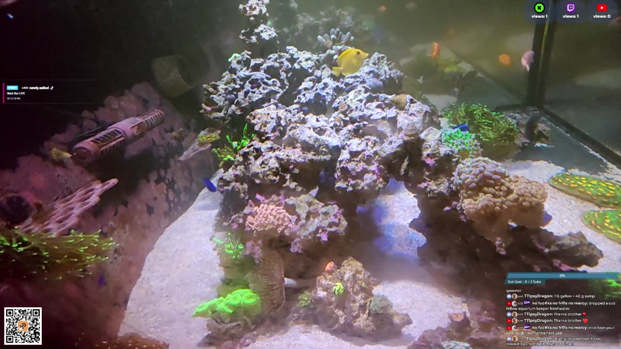 24/7 Real Live Reef Stream