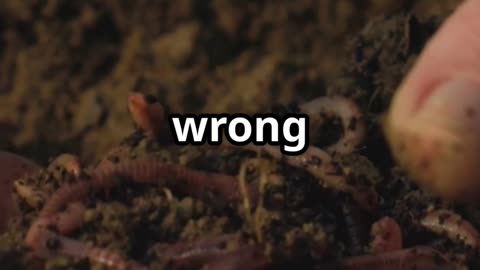 Organic Potting Mix: Stop Killing Your 5th Plant