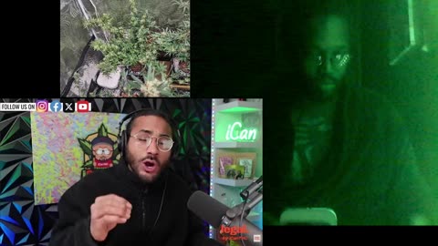 medical canabus lowers opiod useage