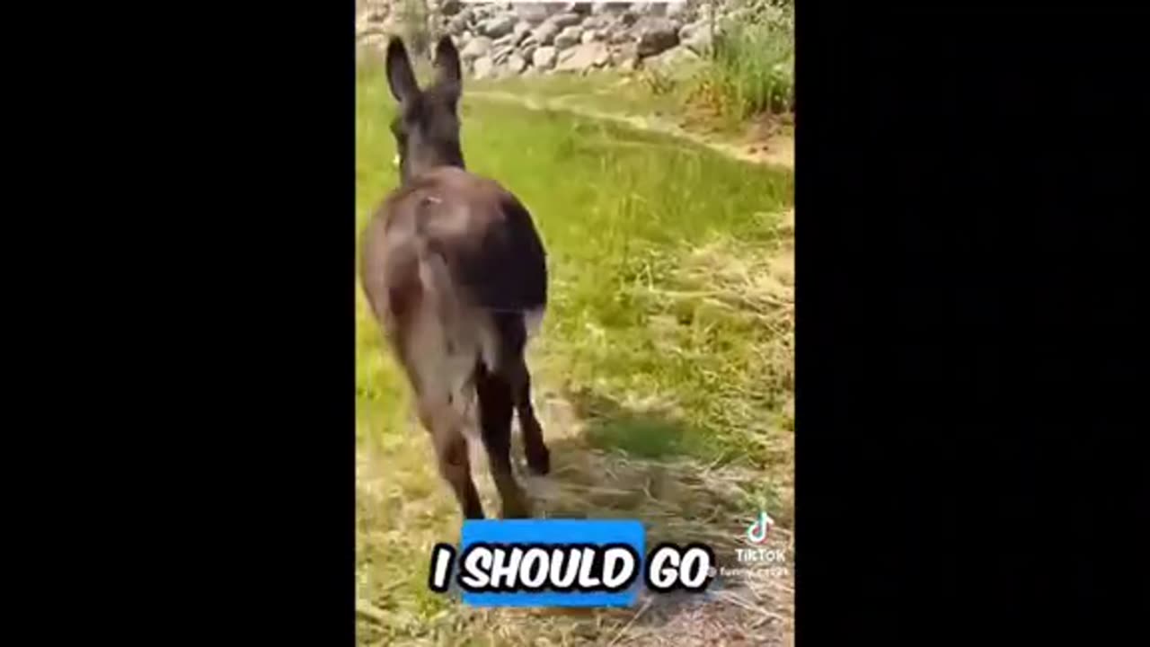 Need a laugh here and there ;)