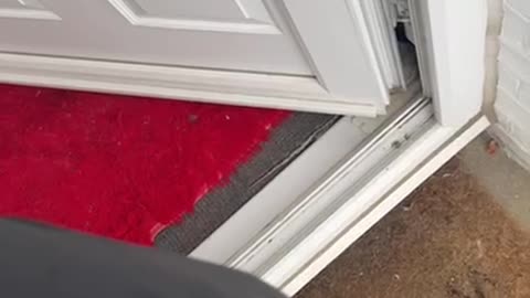 The Underworld - Diljan S