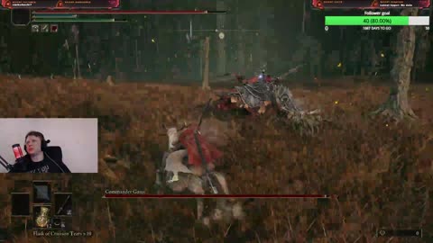 Sunflowers 'n' swine riders gettin' in my way | Elden ring DLC first playthrough part 12