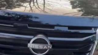 Kiley just posted this yesterday where she continues to tail and harass DHS agents