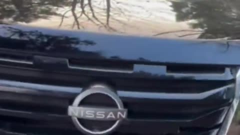 Kiley just posted this yesterday where she continues to tail and harass DHS agents