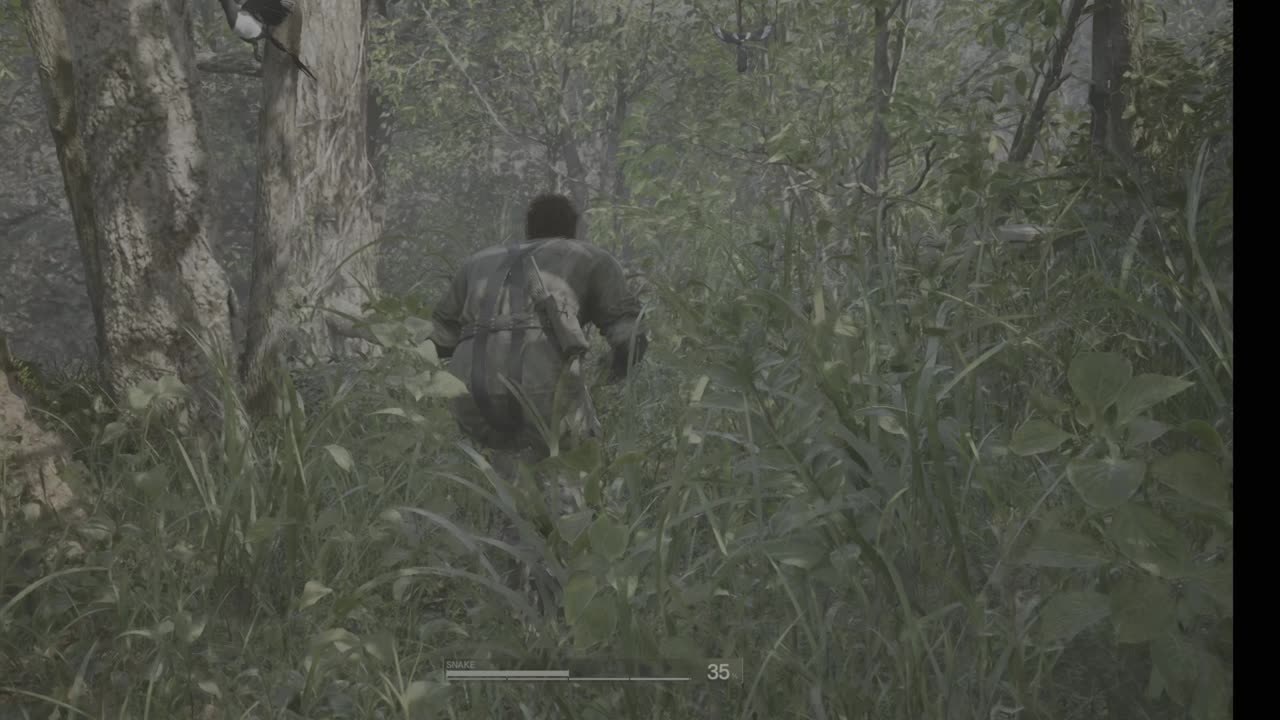 Mgs Delta - 1