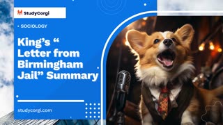 King’s “Letter from Birmingham Jail” Summary - Essay Example