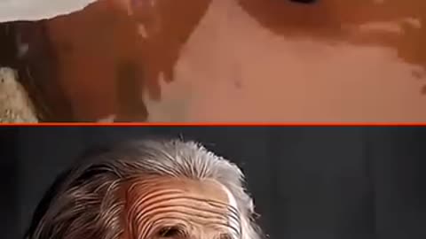 Sigma physics teacher 🗿☠️