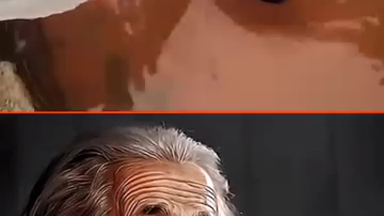 Sigma physics teacher 🗿☠️