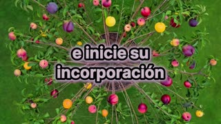 El Increíble Árbol que Da 40 Tipos de Frutas Diferentes