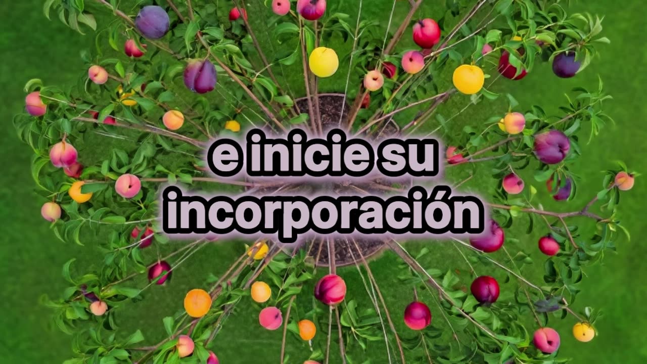 El Increíble Árbol que Da 40 Tipos de Frutas Diferentes