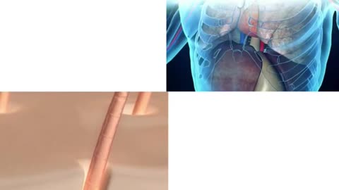 Unlock Your Health Potential with Advancells | Expert Guidance