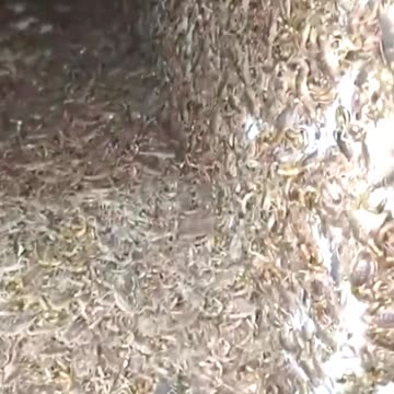 What would you do in such a situation?