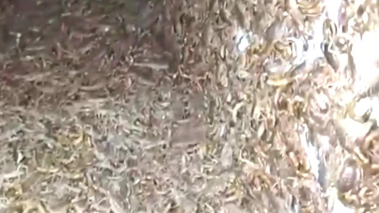 What would you do in such a situation?