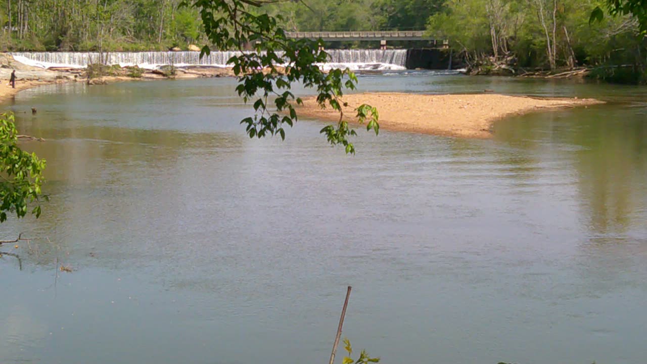 Good Friday Fish'n