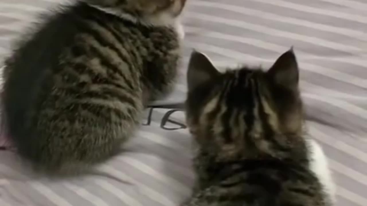 Relaxing moodπππ
π