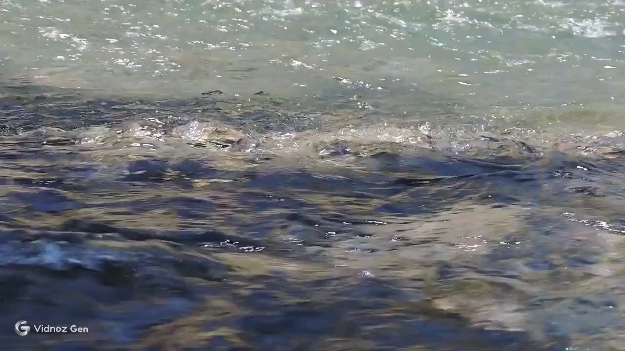 Tiny Turtle Friends