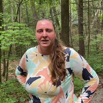 ABANDONED TRAILERS AND INSECT SWALLOWED