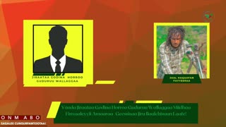 ONM-ABO Hagayya 31-2025 itti dhiyaadhaa!