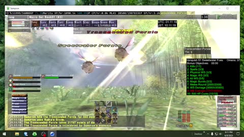 Playing Final Fantasy XI Online