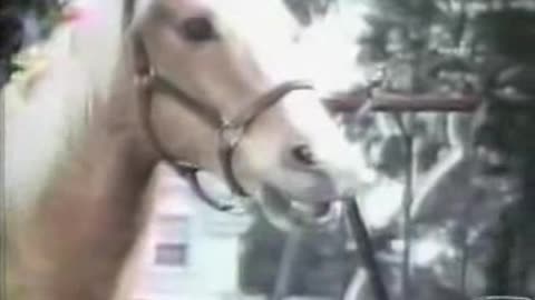 Commercial - Hunt's Snack Pack w Snak Pak the talking horse