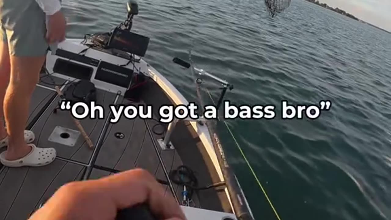50$ Lure???