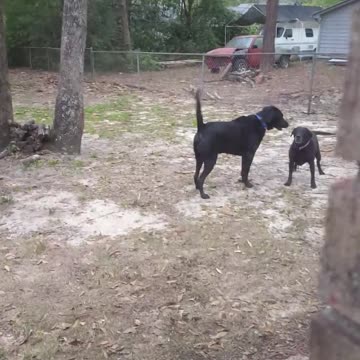 Riley & Baby, Just Playin'